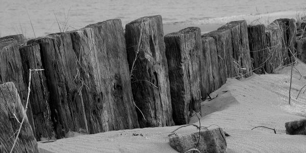 Ring Beach 04