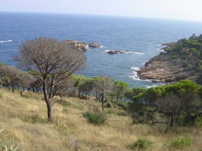 u48/klausjschmidt/medium/35515594.190MeerblickNaeheSantFeliu.jpg