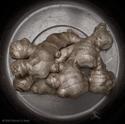 1st Place - Ginger Root by Warren Sarle