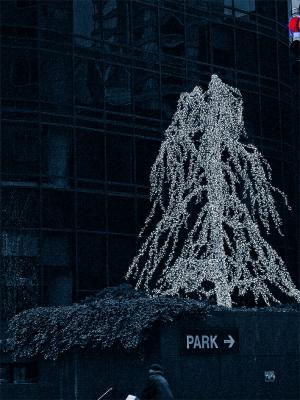 NYC Park Avenue by Stephen Merauld