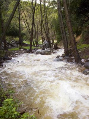 Millard Creek by Weldon Brewster
