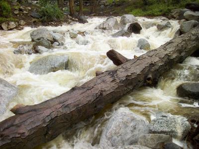 Millard Creek 02 by Weldon Brewster