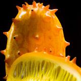 3rd Place - Stroma by Weldon Brewster