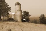 Foothills Farm by Diane Fields