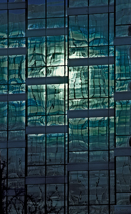 Reflection of a Reflection by Warren Sarle