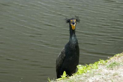 CRW_1421.jpg
