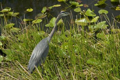CRW_1437.jpg
