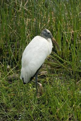 CRW_1467.jpg