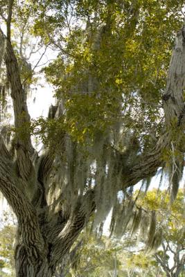 CRW_1485.jpg