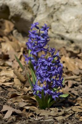 CRW_1512.jpg