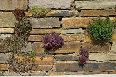 CRW_1670.jpg