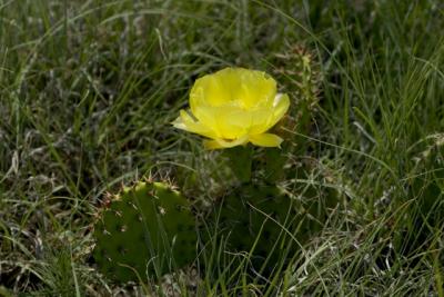 CRW_1888.jpg