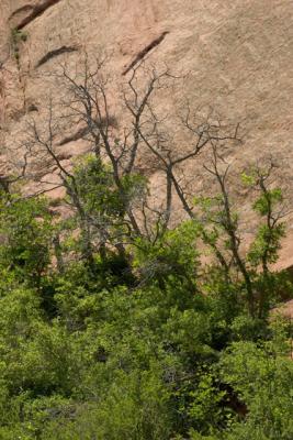 CRW_2031.jpg