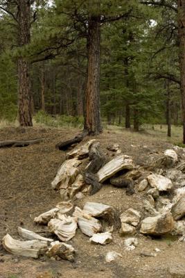 CRW_2092.jpg