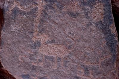 CRW_2098.jpg