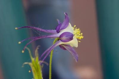 CRW_2126.jpg