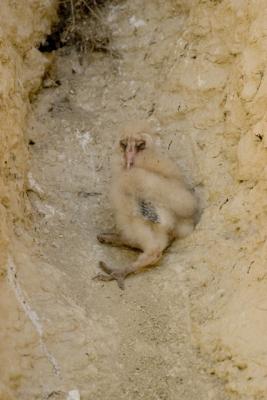 CRW_2190.jpg