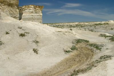 CRW_2207.jpg