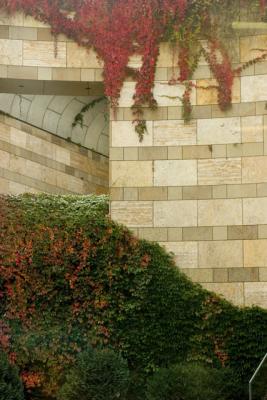 CRW_2464.jpg