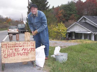 Nuts for Sale
