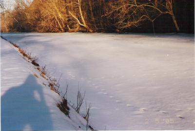 Footprints on the canal