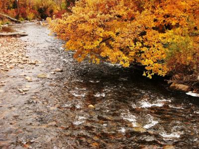 Ogden River