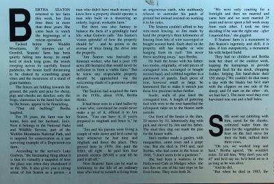 Info displayed at Seaton's (1)
