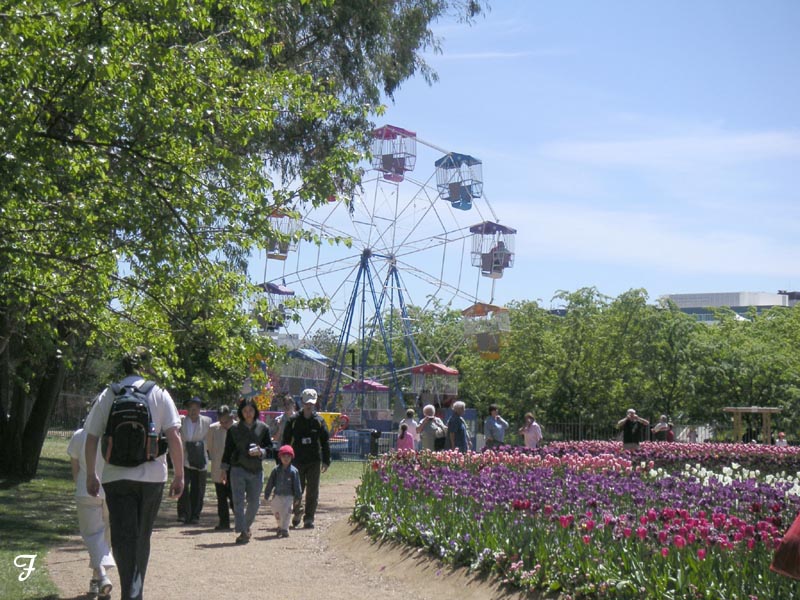 Floriade: People and flowers