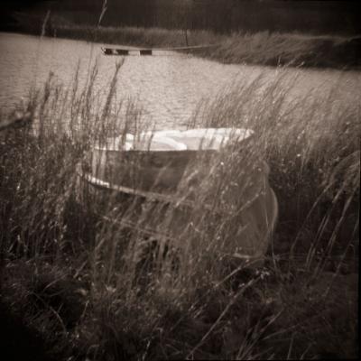 Boat in Weeds