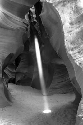 IMG_0780fixbw.jpg