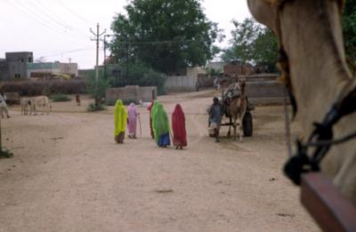 bBikaner1006_CamelSafari.jpg