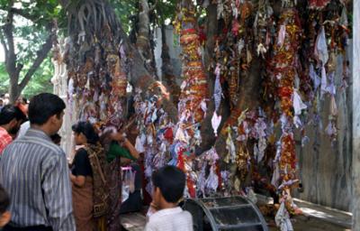 deDelhi1059_HolyTree.jpg