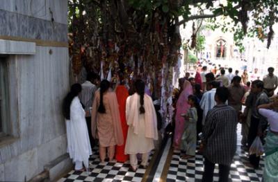 deDelhi1060_HolyTree.jpg