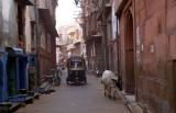 bBikaner1053_TukTuk+Alley.jpg