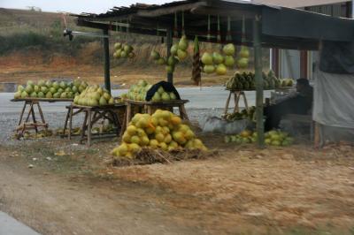 Melon Stand