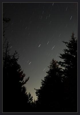 IMG_2743w.jpg