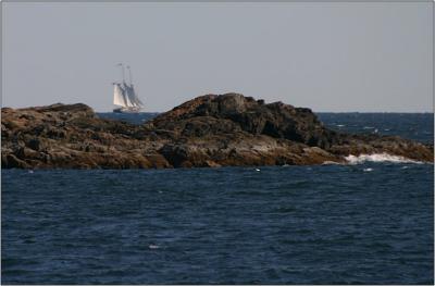 IMG_3548w.jpg