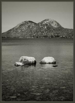 IMG_3894wbw.jpg
