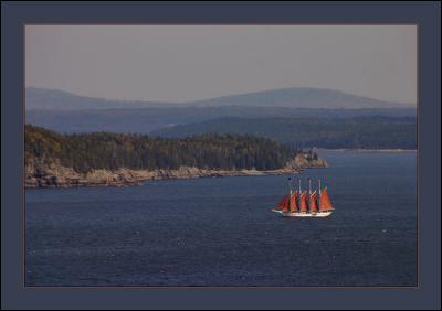 IMG_4179w.jpg