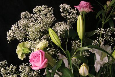 u48/lindarocks/medium/35548347.flowsmall.jpg