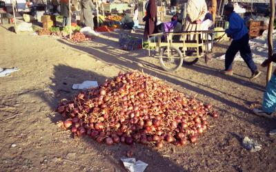 Zagora souk