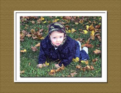 Leaf Fun