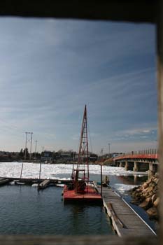 IMG_0115.jpg