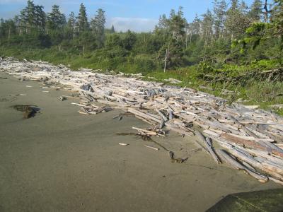 Wickaninish Beach