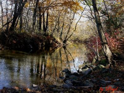 Along the Pike 032a.jpg