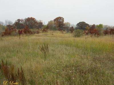 6158.jpg