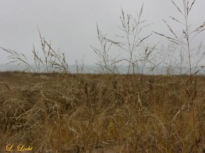 Moody Weather 6108.jpg