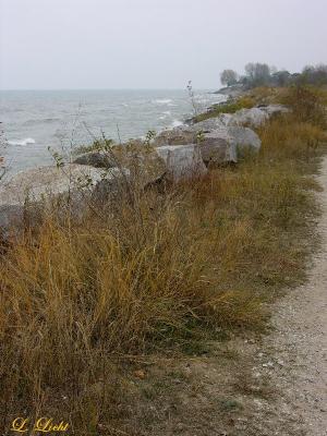 kenosha_dunes_