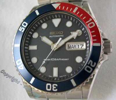 SKX033K2.DSCN2988a-.jpg