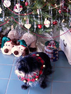 4th day of December